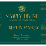 Trust in Synergy - Image 7