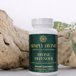 Divine Defender - Image 2