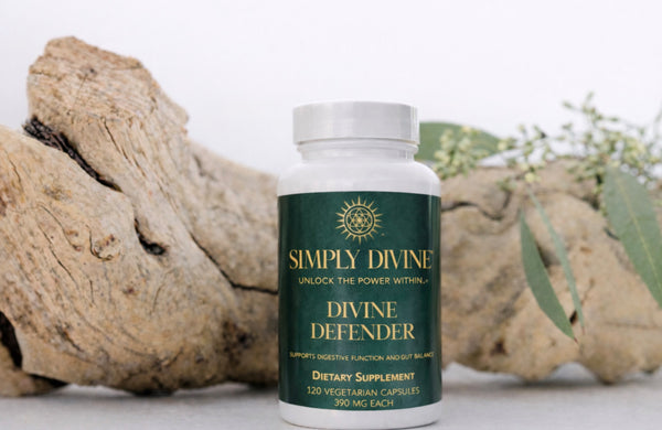 Divine Defender - Image 2