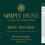 Divine Defender - Image 4