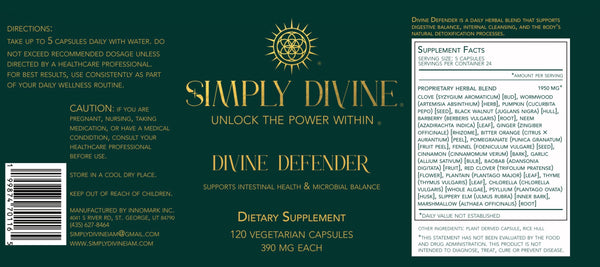 Divine Defender - Image 4