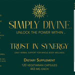 Trust in Synergy - Image 7