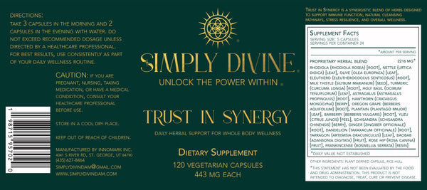 Trust in Synergy - Image 7