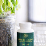 Divine Defender - Image 1