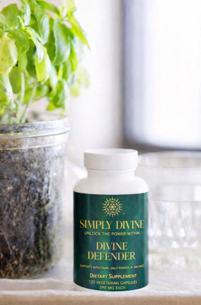 Divine Defender - Image 1