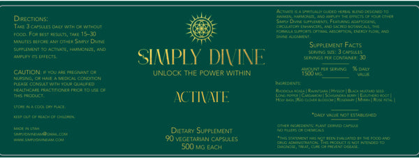 Activate Daily - Image 5