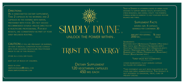 Trust in Synergy - Image 7